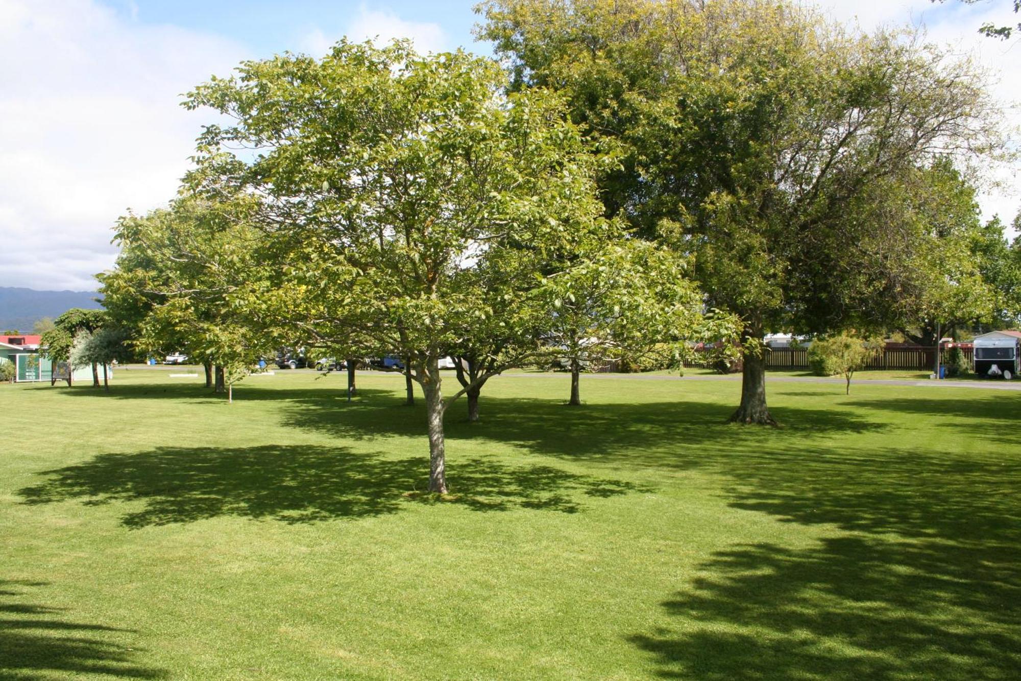 Levin Top 10 Holiday Park Esterno foto